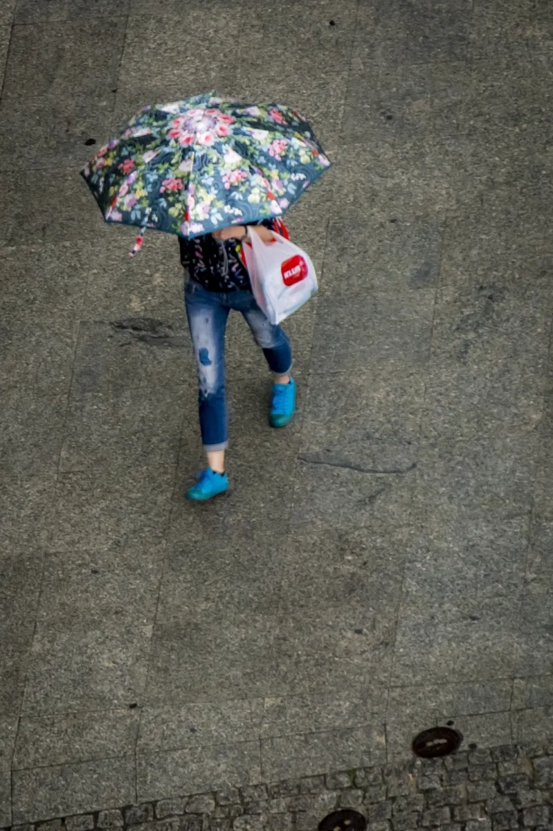 Floral umbrella carried across gray pavement